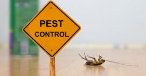 Pest Control for Your Home in Columbus IN | EcoMax Pest Control