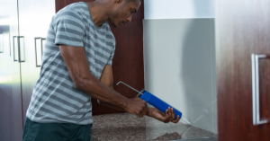 Pest Control Company vs Home Solutions | EcoMax Pest Control