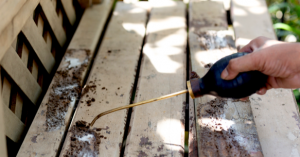Termite Prevention in Columbus, IN | EcoMax Pest Control