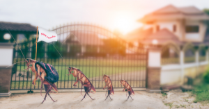 5 Tips for Pest Control in Columbus, IN | EcoMax Pest Control