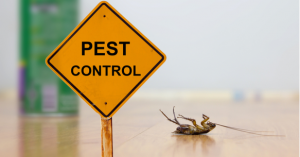 Benefits of Hiring a Local Pest Control Professional | EcoMax Pest Control