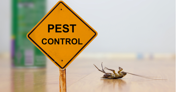 pest control roy utah