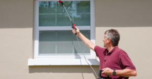 Ways DIY Pest Control Can Go Wrong | EcoMax Pest Control