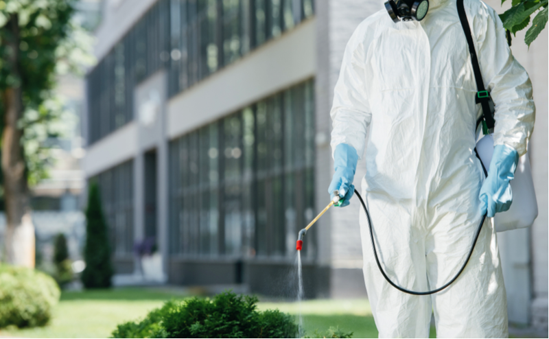 Do Not Skip Out on Commercial Pest Control Services for ...
