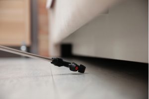 Hiring a Professional Exterminator vs Going the DIY Route | EcoMax Pest Control