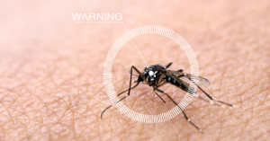 Four Types of Pests in Indiana That Can Spread Disease | EcoMax Pest Control