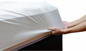 WHAT’S THE MOST EFFECTIVE TREATMENT FOR BED BUGS? | EcoMax Pest Control