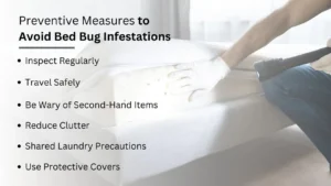 Preventive Measures to Avoid Bed Bug Infestations